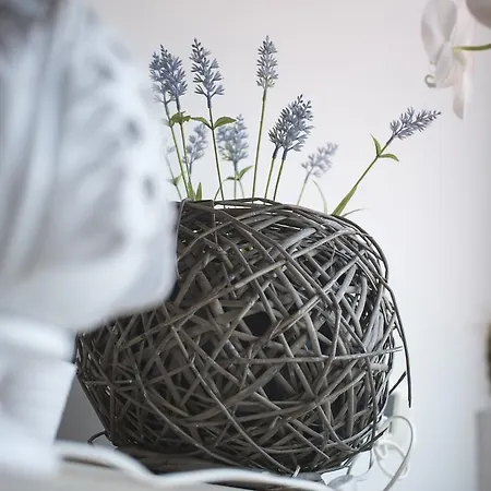 Nocleg ze śniadaniem Il Viottolo