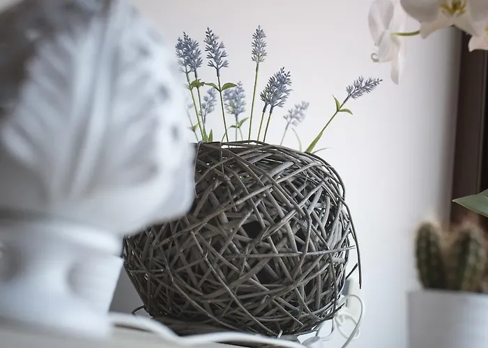 לינה וארוחת בוקר Il Viottolo