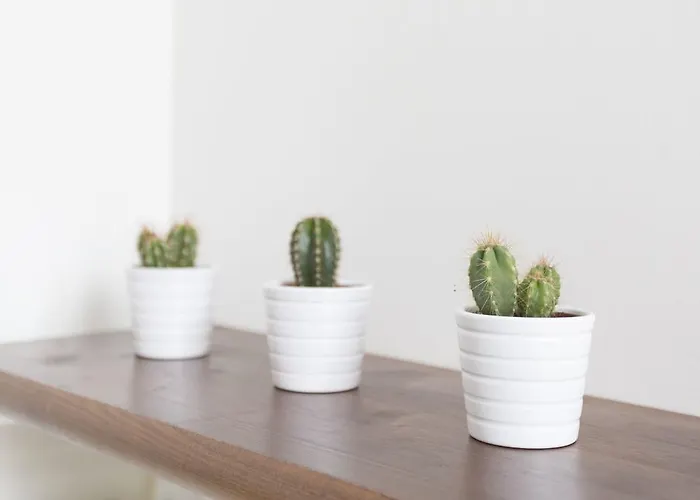 Il Viottolo 3* נוצ'י